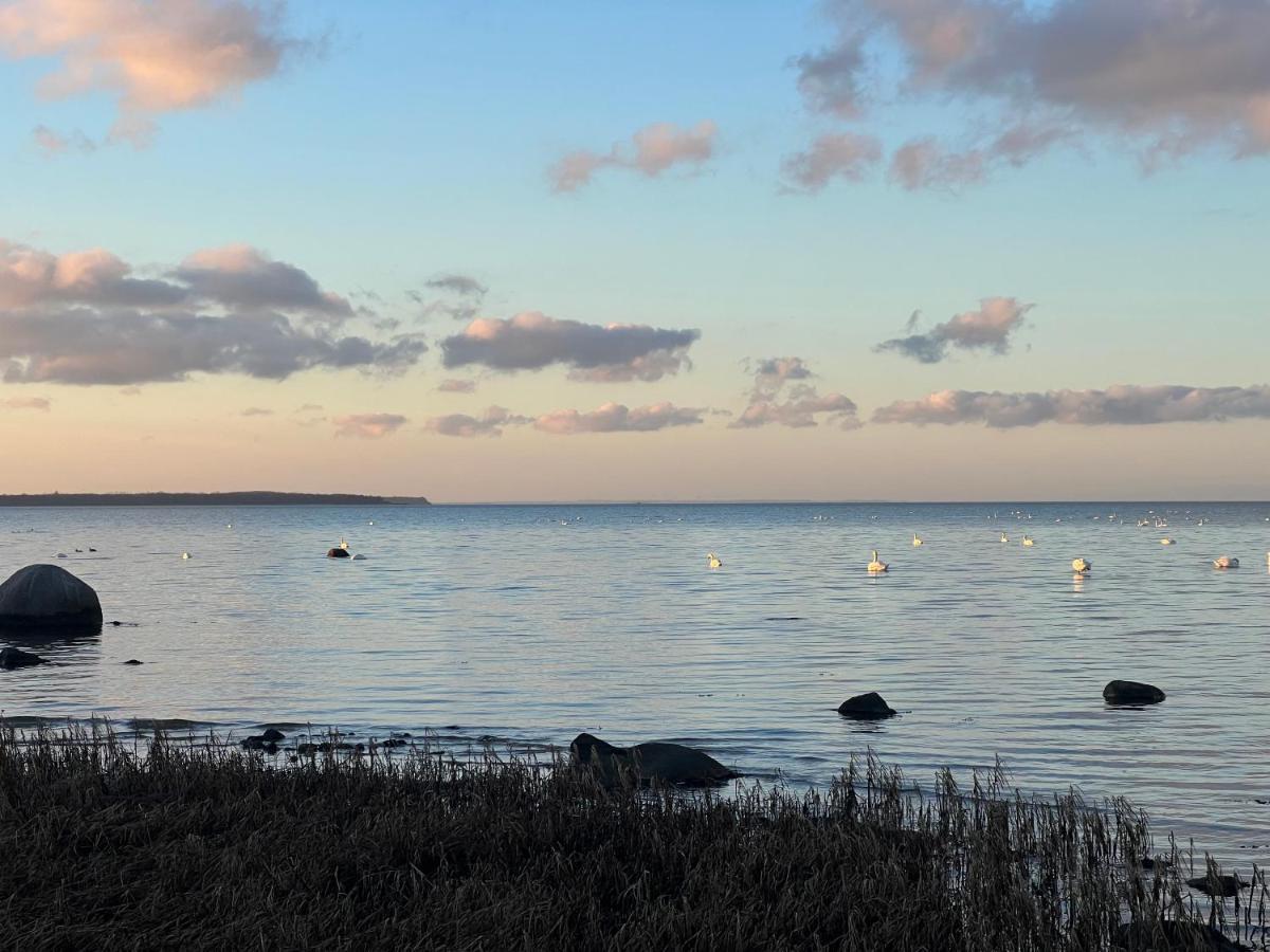 Reet Und Meer Beckerwitz Hohenkirchen  Bagian luar foto