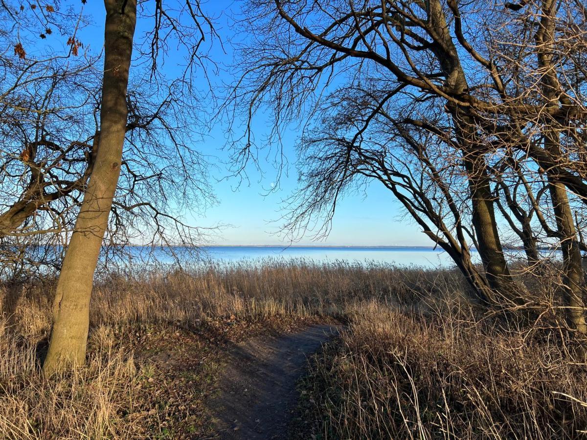 Reet Und Meer Beckerwitz Hohenkirchen  Bagian luar foto