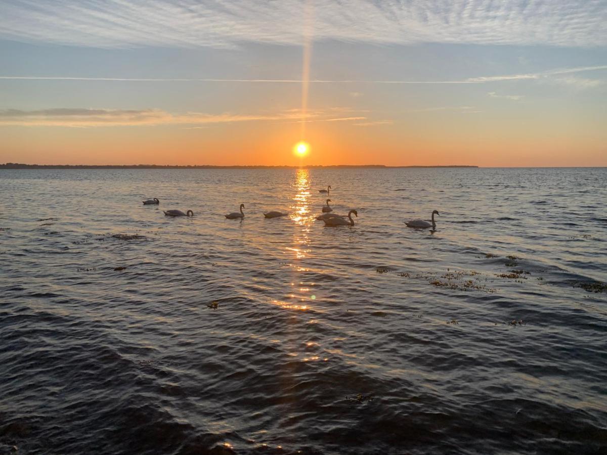 Reet Und Meer Beckerwitz Hohenkirchen  Bagian luar foto