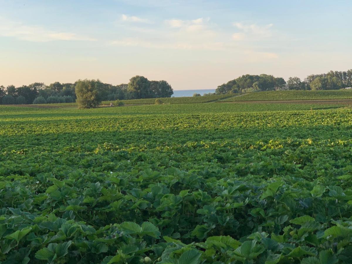 Reet Und Meer Beckerwitz Hohenkirchen  Bagian luar foto