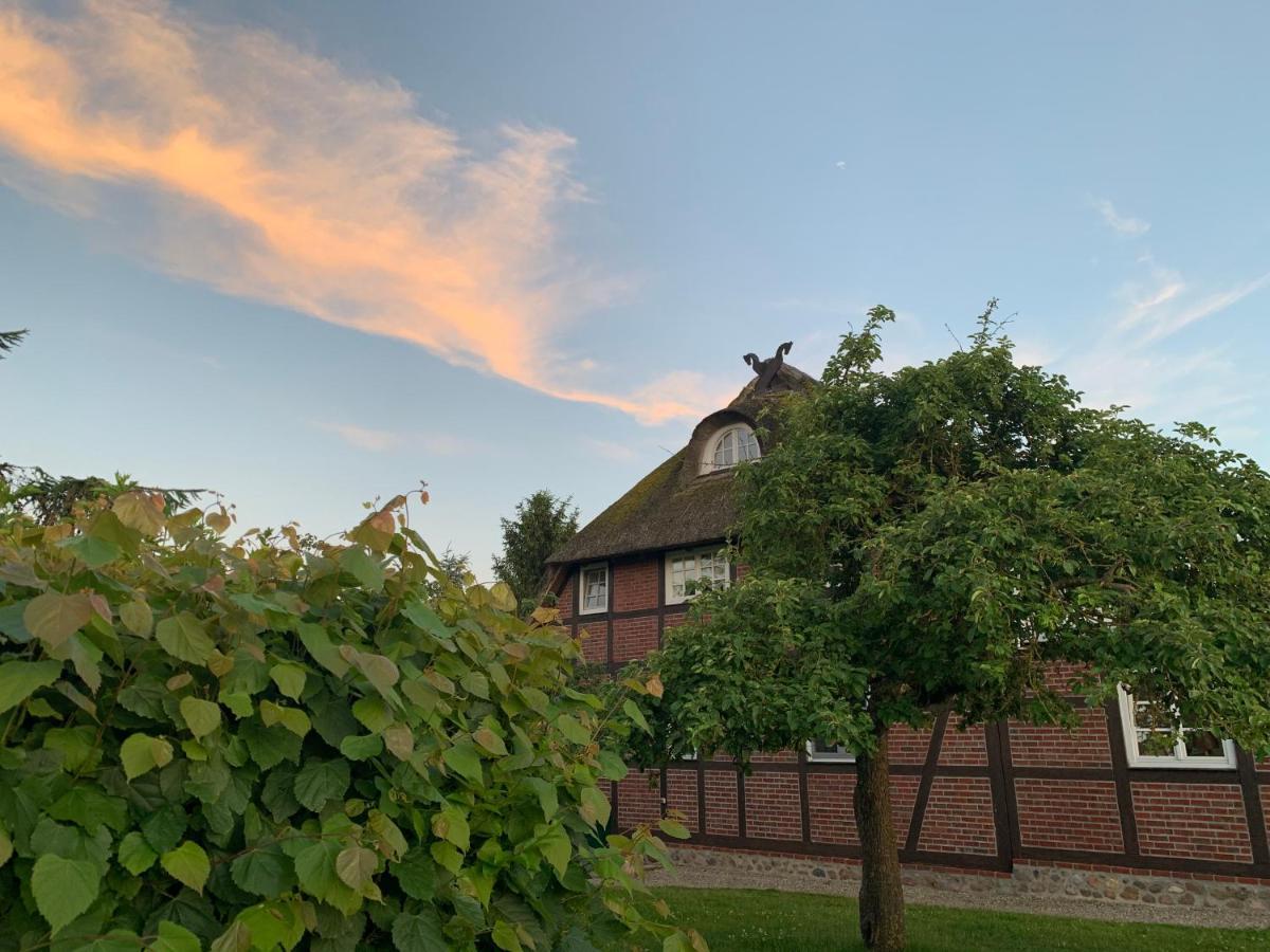 Reet Und Meer Beckerwitz Hohenkirchen  Bagian luar foto